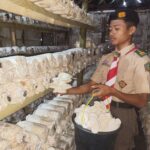 Saka Wanabakti Kwarcab Grobogan Binaan Perhutani Kembangkan Budidaya Jamur Tiram, Wujud Nyata Peran Pramuka dalam Mendukung Ketahanan Pangan
